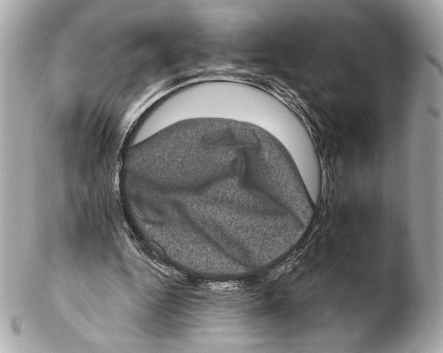 X0000102400344200808291450
