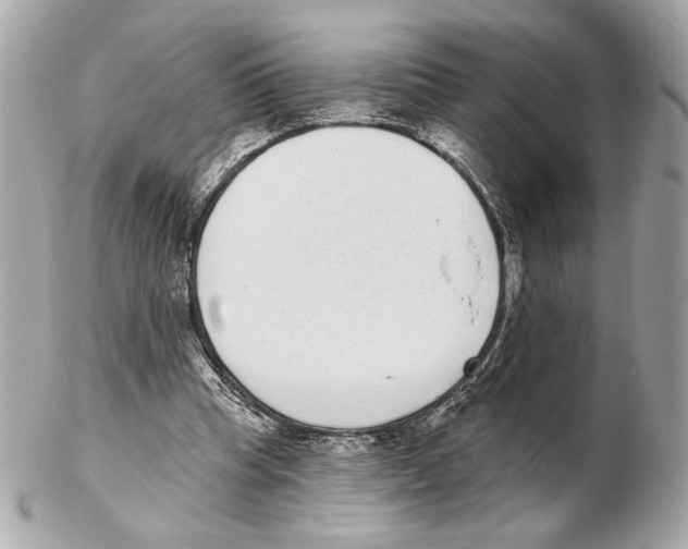 X0000102400345200808291450