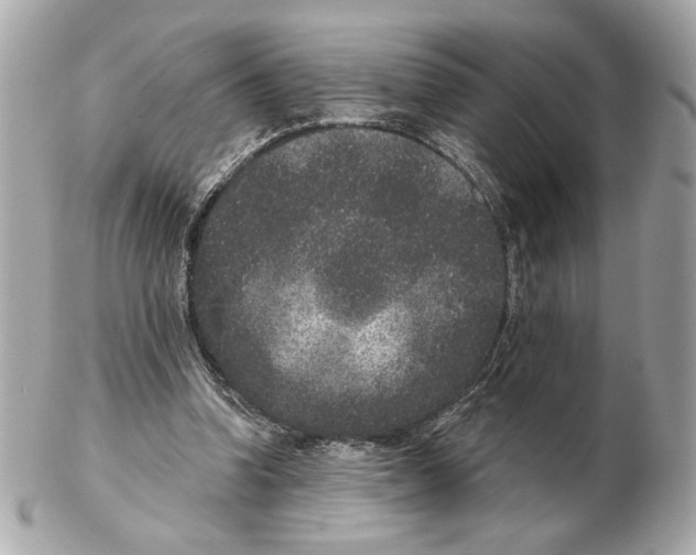 X0000102400346200808291450