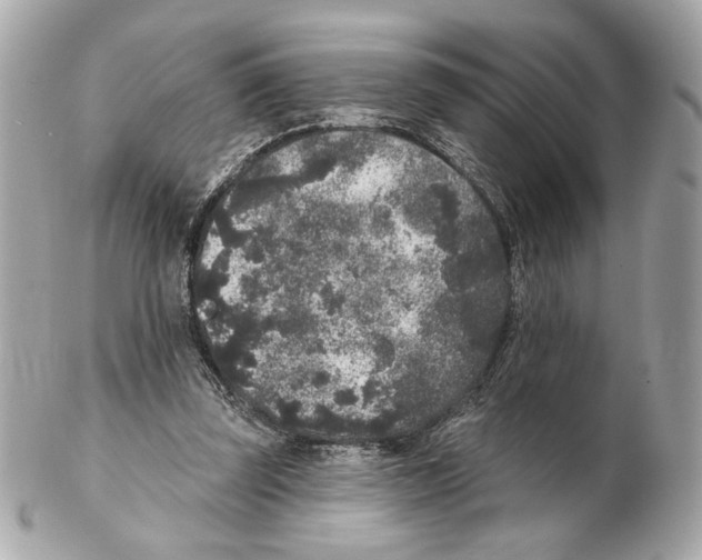 X0000102400347200808291450