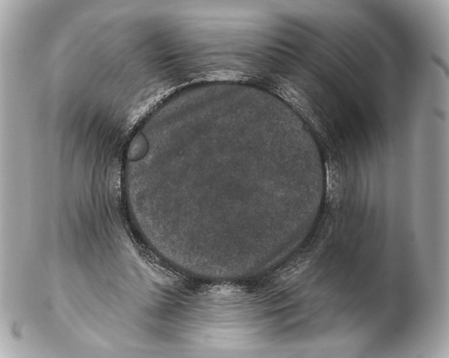 X0000102400348200808291450