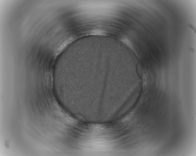 X0000102400349200808291450