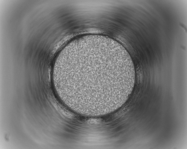 X0000102400350200808291450
