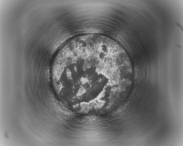 X0000102400351200808291450