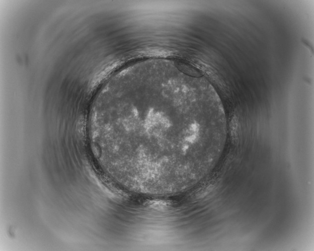 X0000102400352200808291450