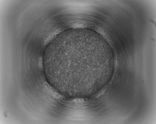X0000102400353200808291450