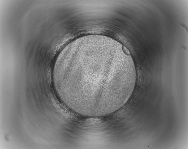 X0000102400354200808291450
