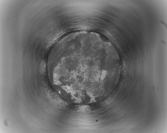 X0000102400355200808291450