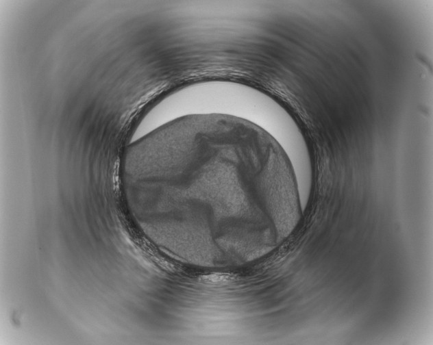 X0000102400356200808291450