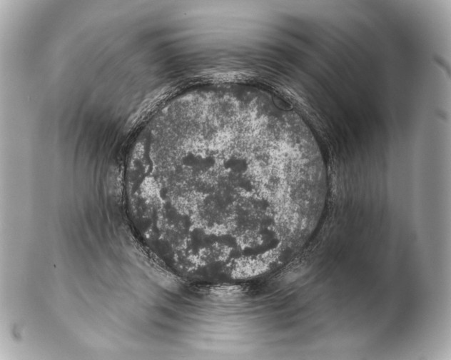 X0000102400357200808291450