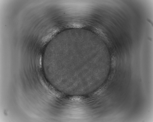 X0000102400358200808291450