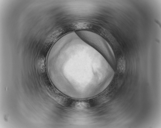 X0000102400360200808291450
