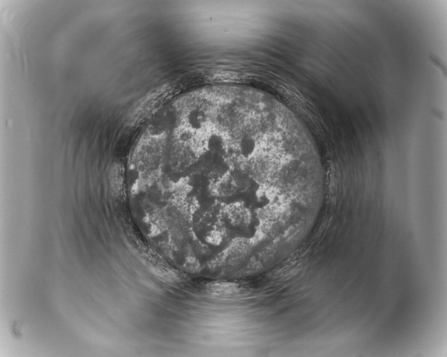 X0000102400361200808291450