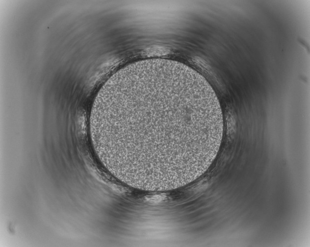 X0000102400362200808291450