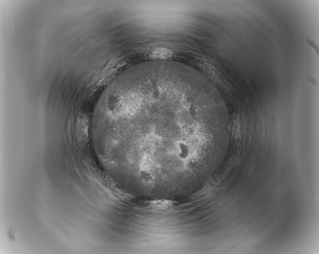 X0000102400363200808291450