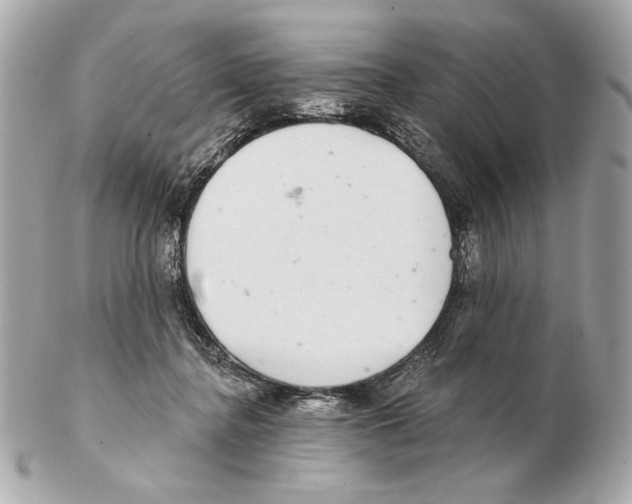 X0000102400364200808291450
