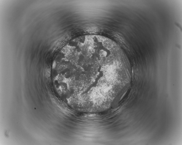 X0000102400365200808291451