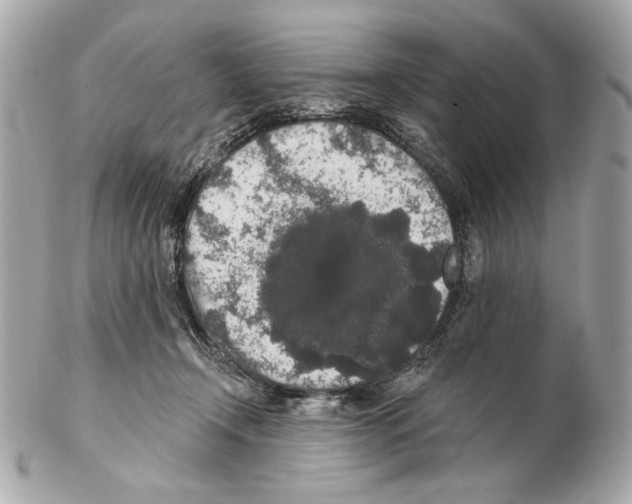 X0000102400366200808291451