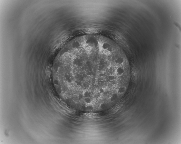 X0000102400367200808291451