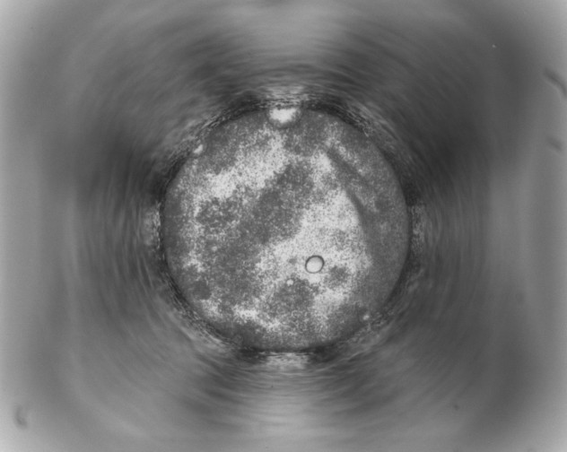 X0000102400369200808291451