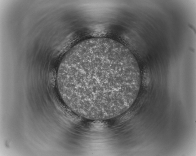 X0000102400370200808291451
