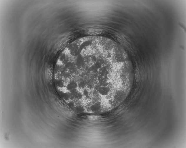 X0000102400371200808291451
