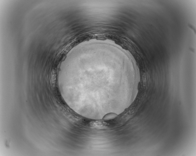 X0000102400372200808291451