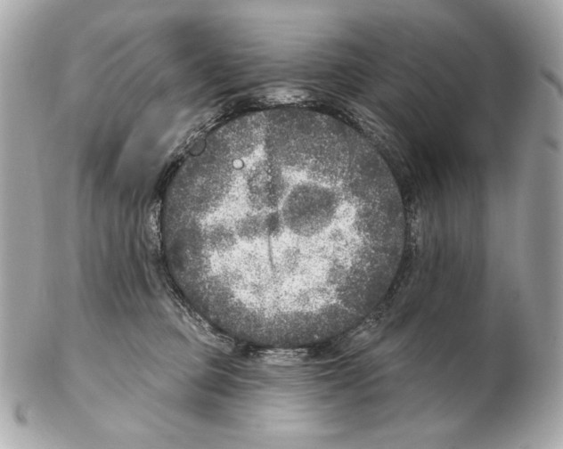 X0000102400373200808291451