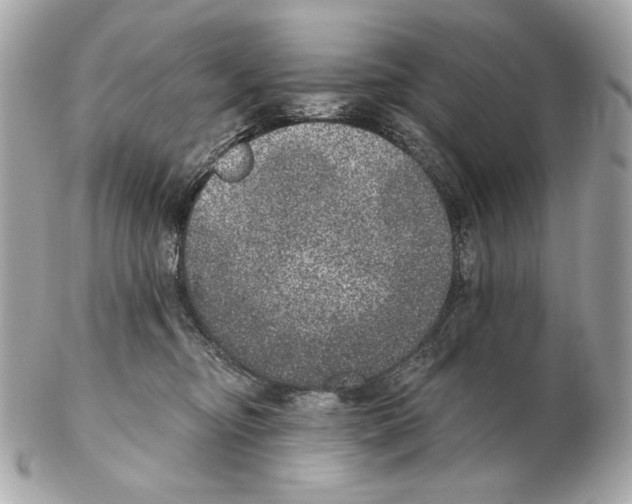 X0000102400374200808291451