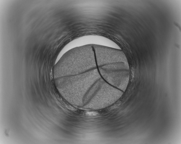 X0000102400376200808291451