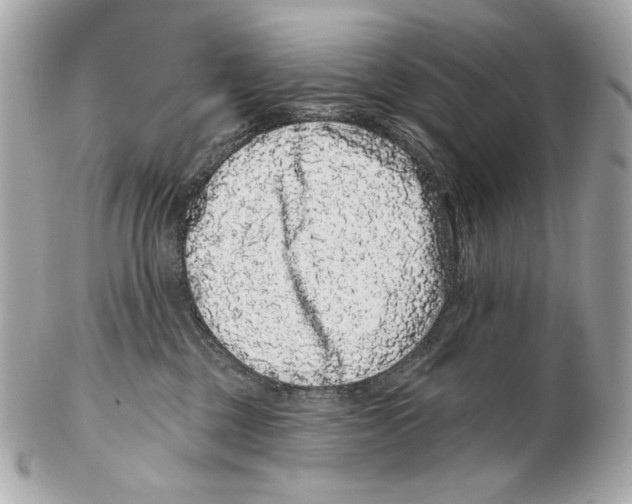 X0000102400377200808291451
