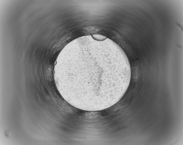 X0000102400378200808291451