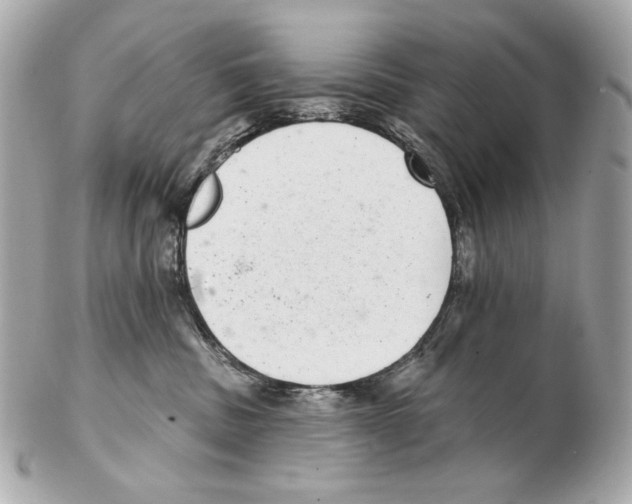 X0000102400379200808291451