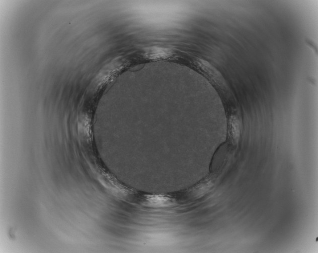 X0000102400380200808291451