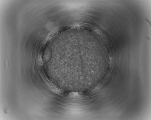 X0000102400381200808291451