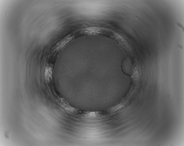 X0000102400382200808291451