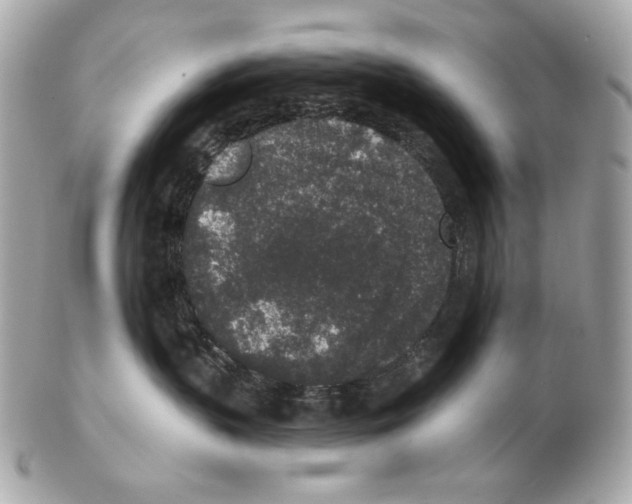 X0000102400383200808291451