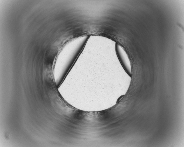 X0000102400384200808291451