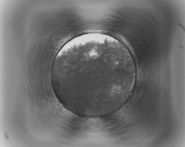 X0000102400385200808291450