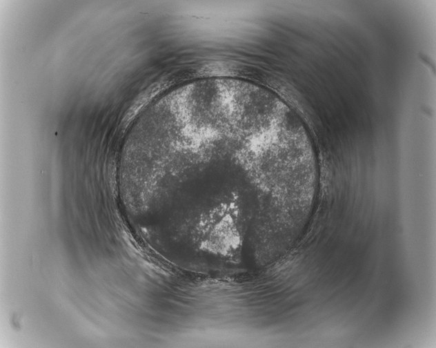 X0000102400386200808291450