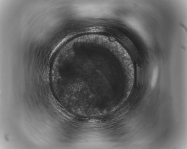 X0000102400387200808291450