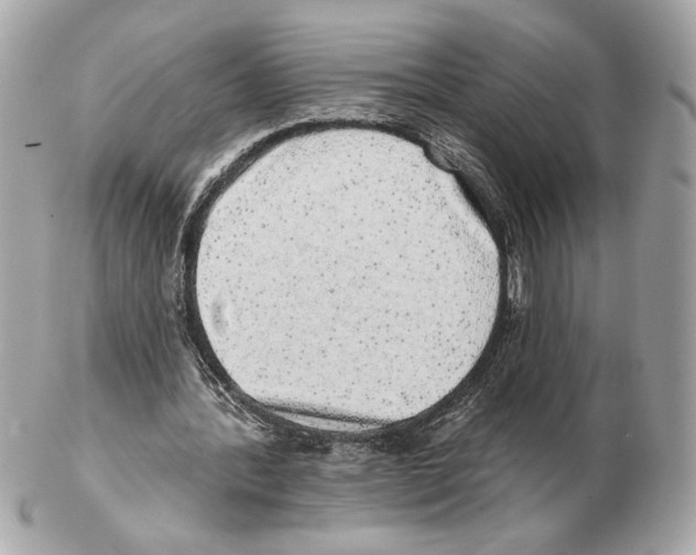 X0000102400388200808291450