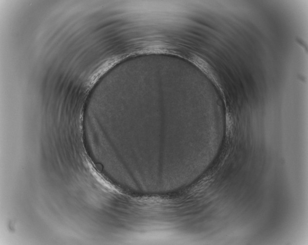 X0000102400389200808291450