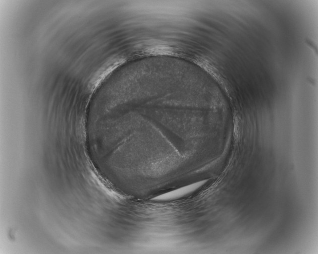 X0000102400390200808291450