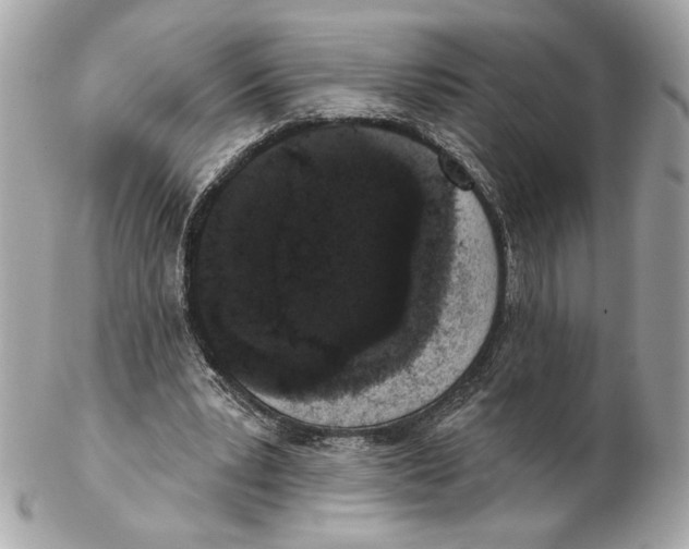 X0000102400391200808291450