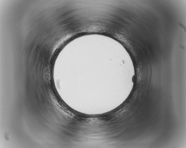 X0000102400392200808291450