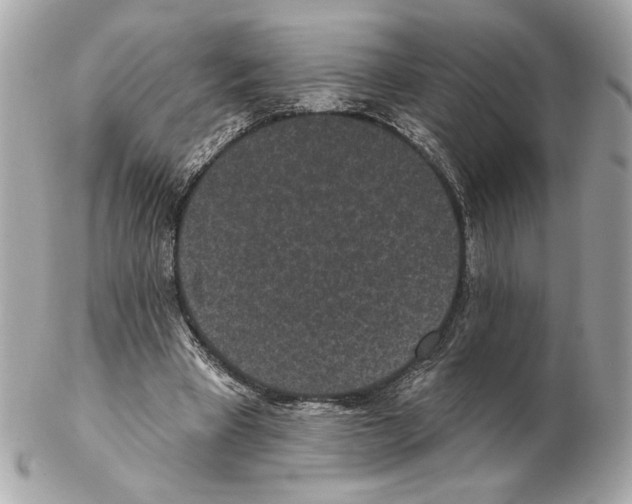 X0000102400393200808291450