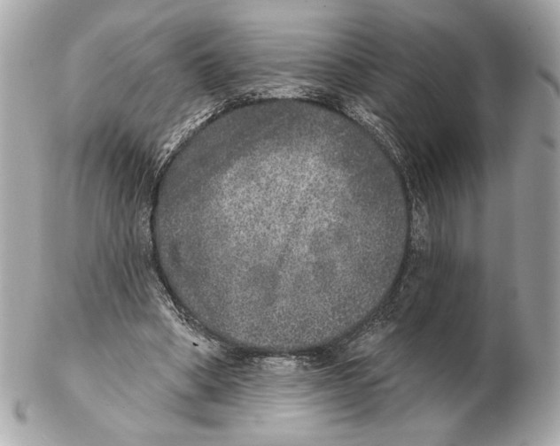 X0000102400394200808291450