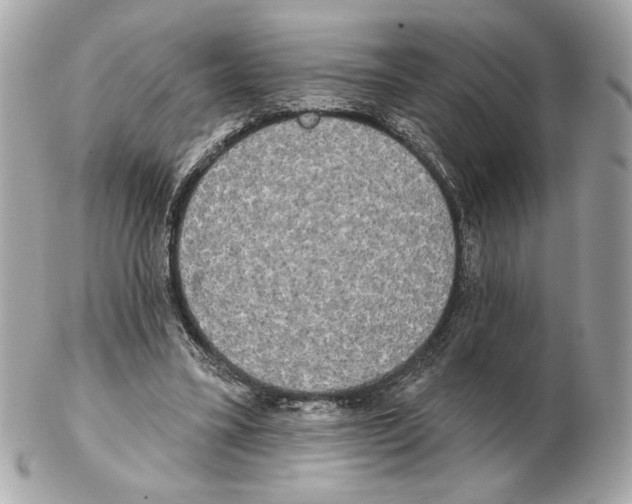 X0000102400395200808291450