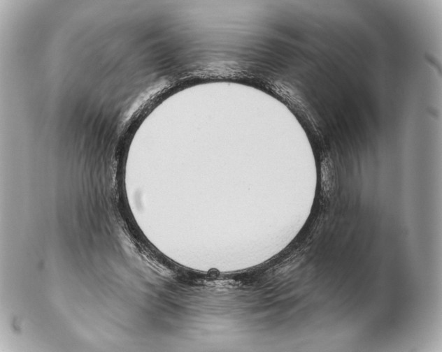 X0000102400396200808291450